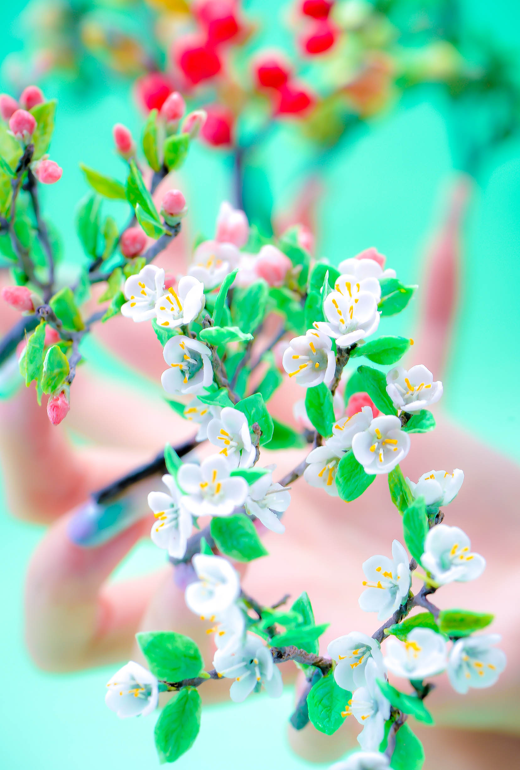 2015_0000_TOP_Shiraishi Art 2014 後期 0421