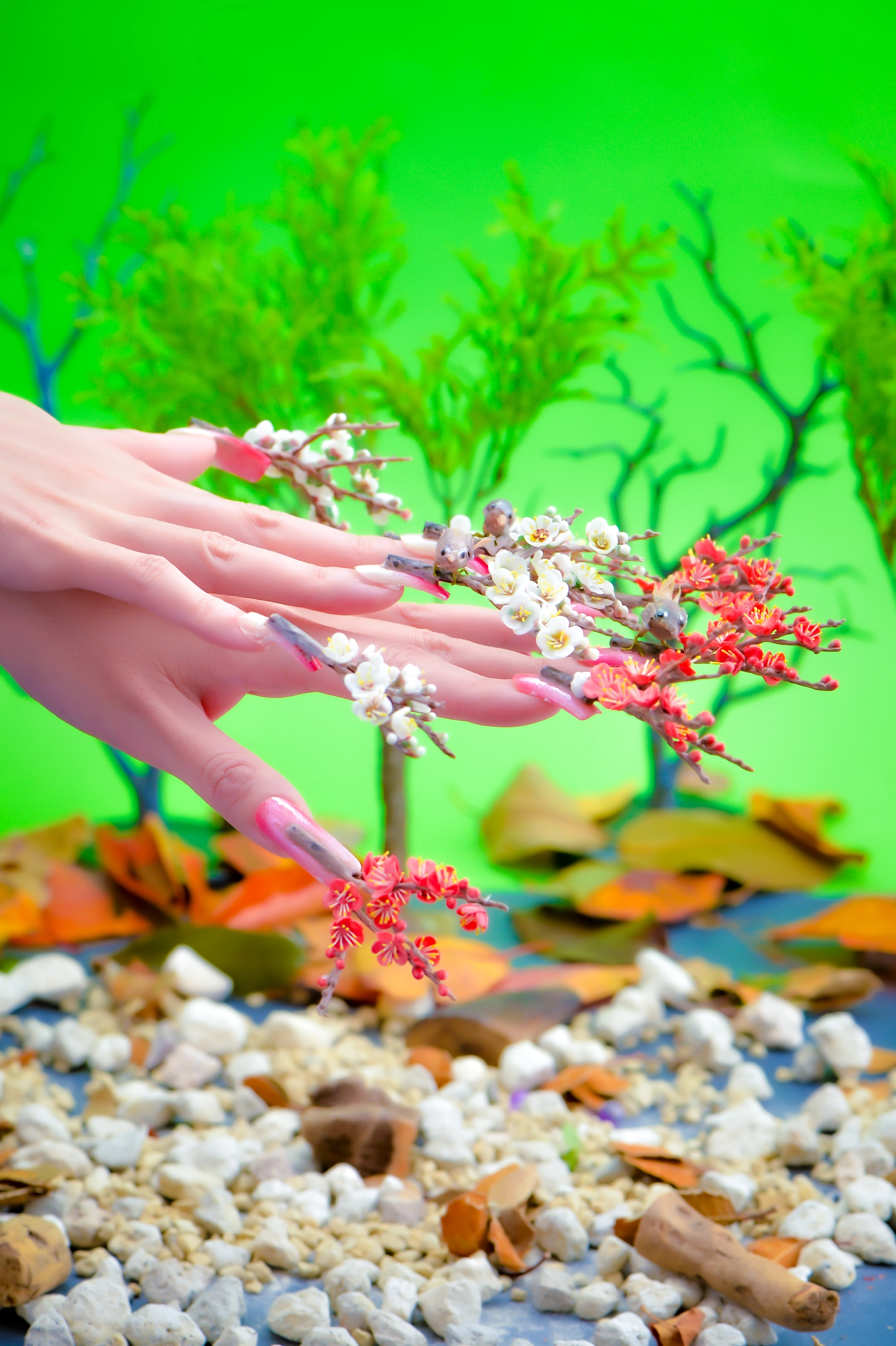 shiraishi2025後期本番0102