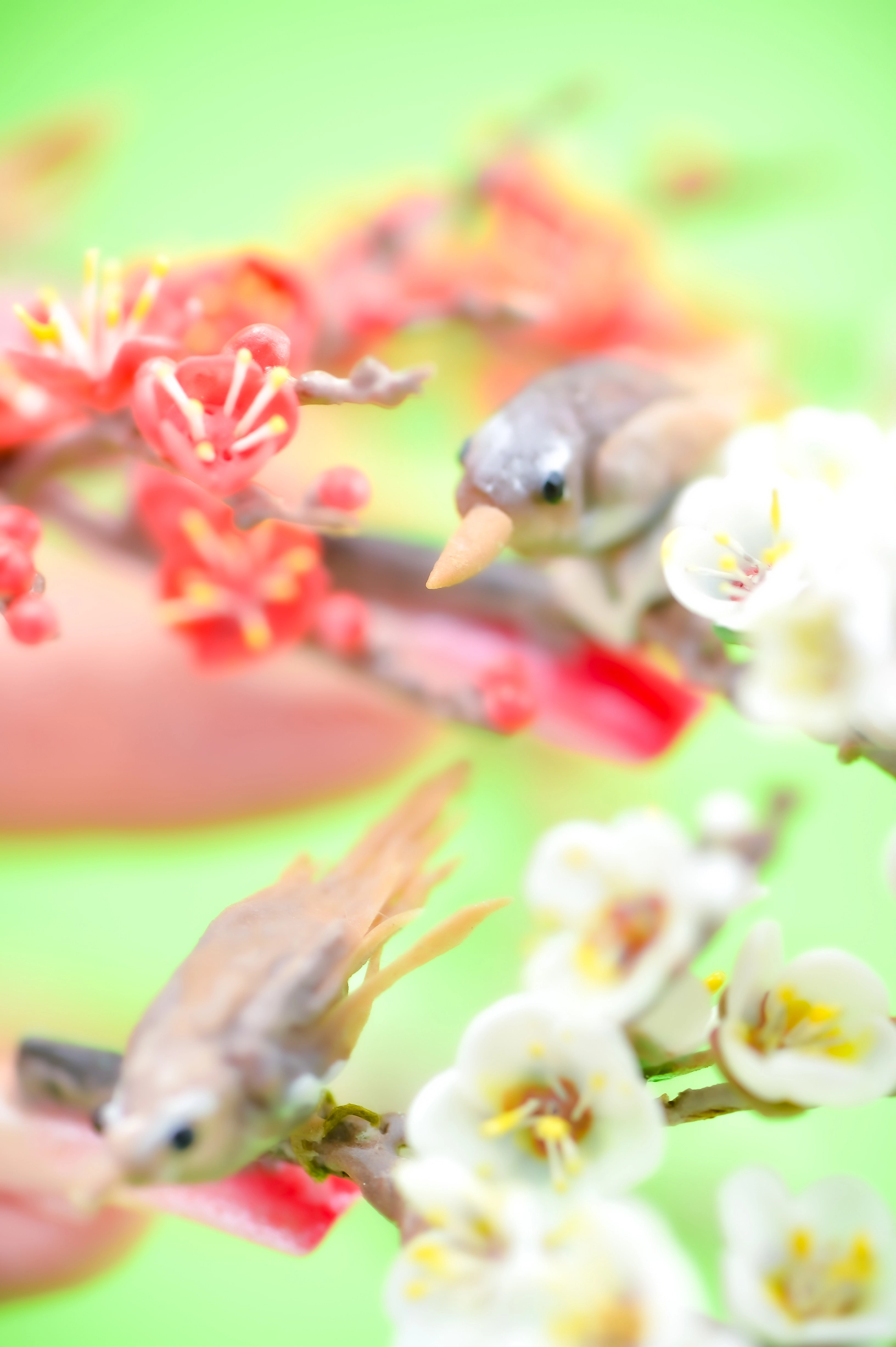 shiraishi2025後期本番0136